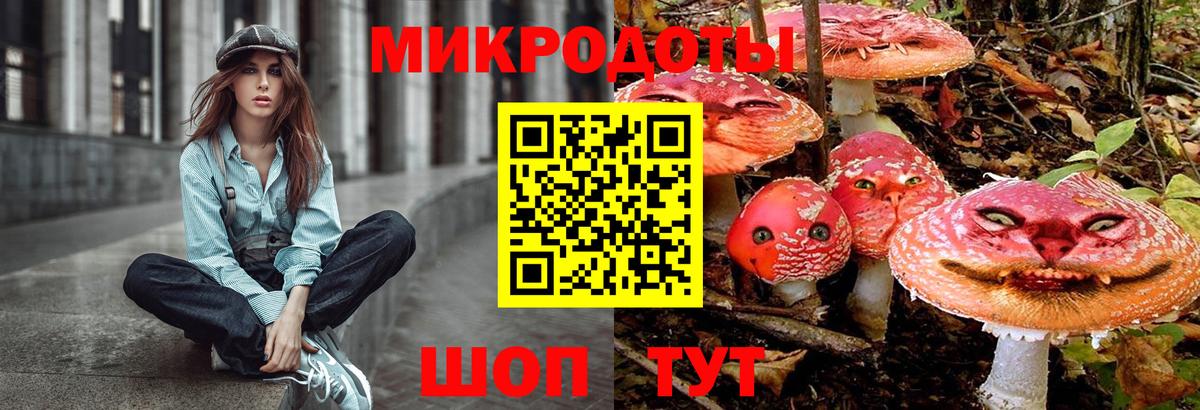Галлюциногенные грибы Cubensis Коломна