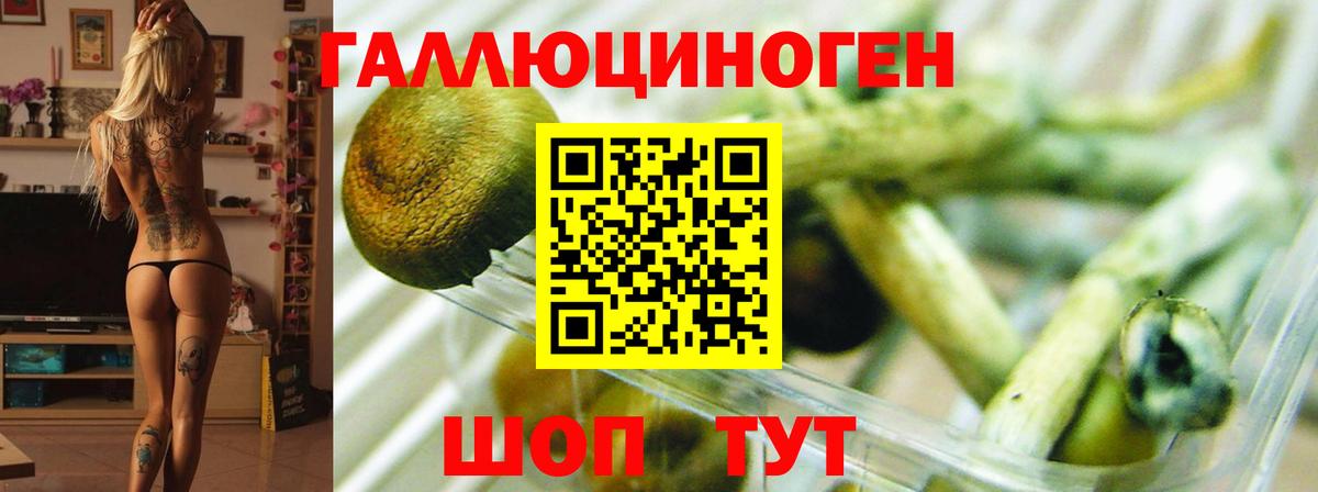 Галлюциногенные грибы мухоморы  Вход с VPN  Коломна 